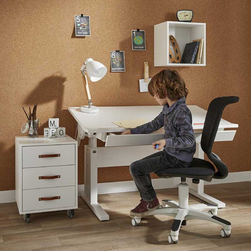 Lifetime Hohenverstellbarer Schreibtisch Mit Neigbarer Tischplatte