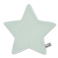 Baby's Only Kuscheltuch Stern Classic mint 30x30cm