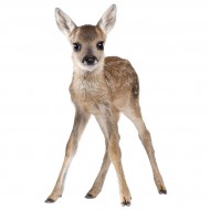 Dekornik Wandsticker Lucy My Deer - 78x50cm