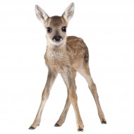 Dekornik Wandsticker Lucy My Deer - 78x50cm
