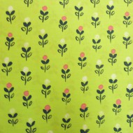 Designers Guild Bettlaken 90x200cm Dolls House grün mit Blumen