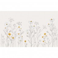 Lilipinso XL Fototapete "Wildblumen mit Kamille" in grau/senfgelb