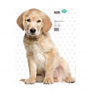 KEK Amsterdam Wandsticker Golden Retriever Welpe 43cm