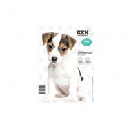 KEK Amsterdam Wandsticker Jack Russel Welpe 20 cm