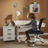 LIFETIME höhenverstellbarer Schreibtisch mit neigbarer Tischplatte in weiß lackiert - Breite 120cm